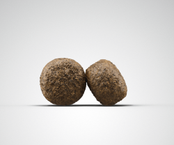 Josera High Energy_granule