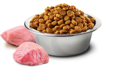N&D Prime Dog Adult Mini Boar & Apple_granule