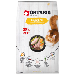 Ontario Cat Exigent Chicken