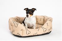 Pelech Kost béžový