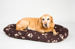 Polštář ovál Tlapka hnědo/béžový