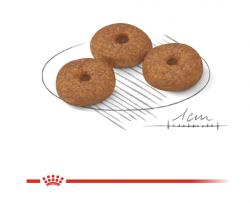 Royal Canin Mini Ageing +12_granule