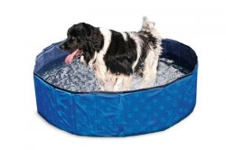 Skládací bazén pro psy modro/černý 80x20cm