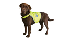 Trixie Bezpečnostní Reflexní vesta